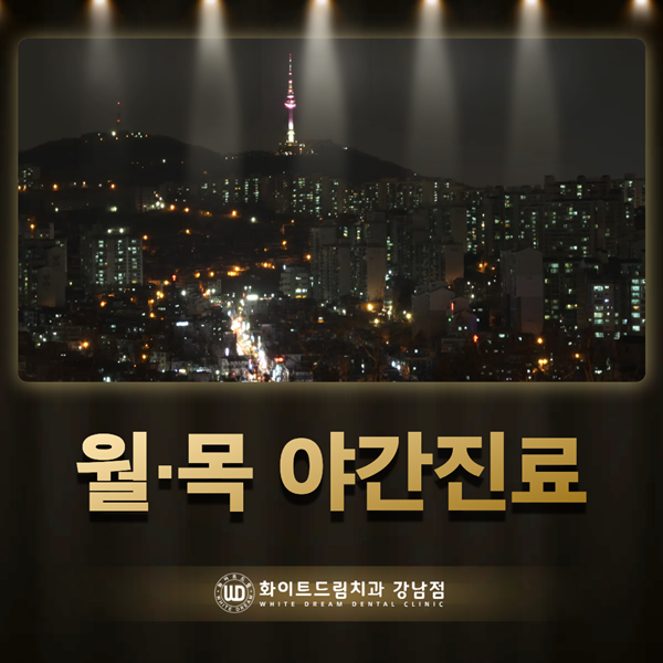 3. 월목 야간진료.png